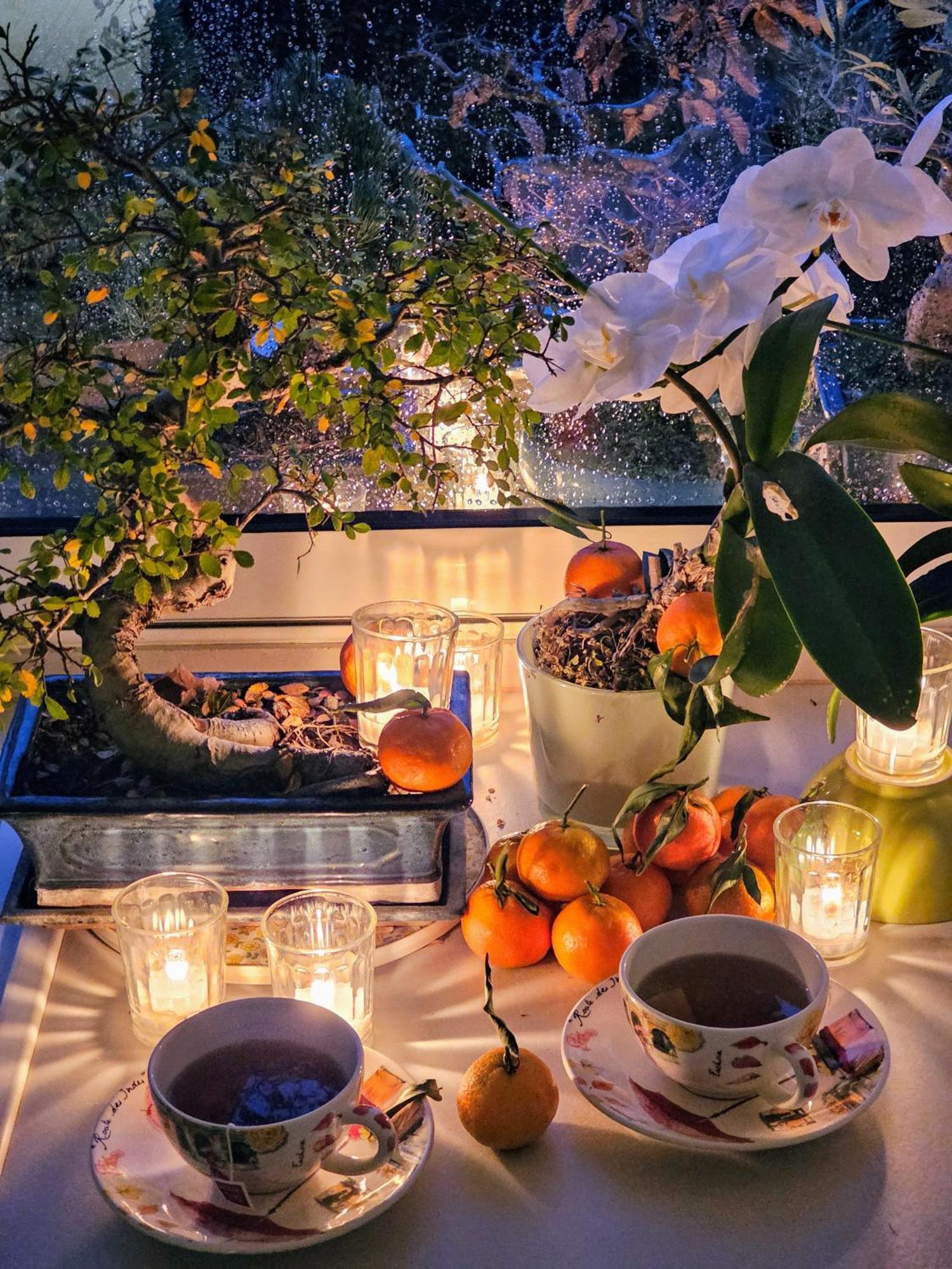 Terrasse De Malissol Apartment Vienne  Ngoại thất bức ảnh